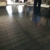 供應施工專用黑模板、建筑模板廠家直銷