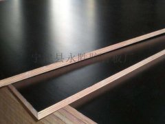 供應(yīng)施工專用黑模板、建筑模板廠家直銷圖2