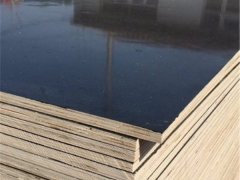 廠家直銷施工專用建筑模板、高硬度黑模板現(xiàn)貨批零圖2